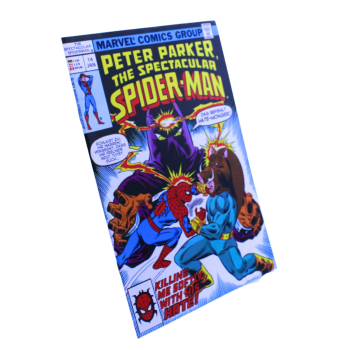 Spectacular Spider-Man 14 Panini 2006 Neuwertig | Hoppla-Stuff